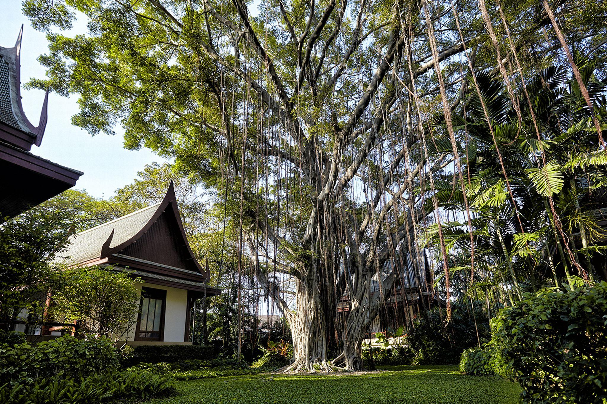 Chiva-Som International Health Resorts Hua Hin Exterior photo